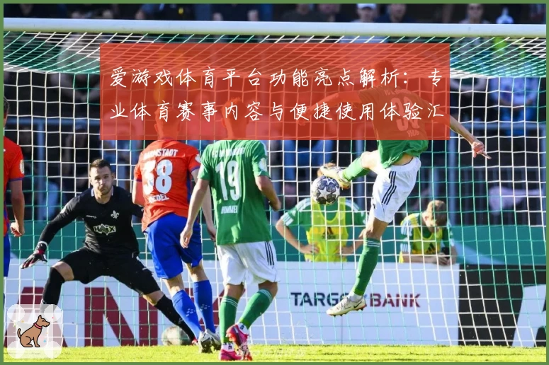 爱游戏体育平台功能亮点解析：专业体育赛事内容与便捷使用体验汇总
